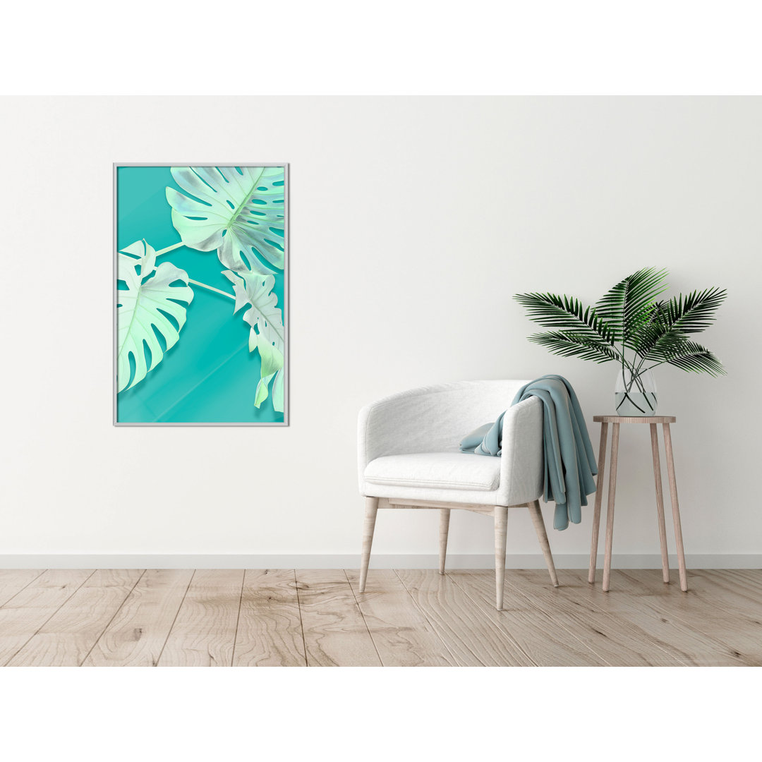 Gerahmtes Poster Teal Monstera