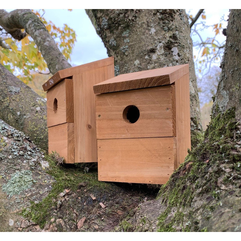 Wooden Multi-Hole Mounted Bird House
