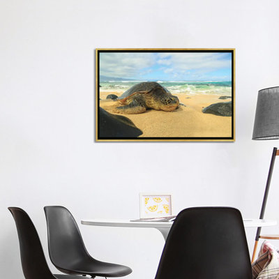 Tortue de mer verte (Chelonia Mydas), tirée vers le haut sur le rivage, parc Hookipa Beach, Maui, Hawaï, États-Unis par Stuart Westmorland - reproduction d'art