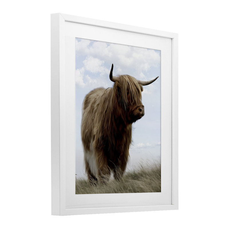 «Restful Look Highland Bovins», reproduction encadrée sous verre, conception de Marcus Prime, H 21 po x l 17 po