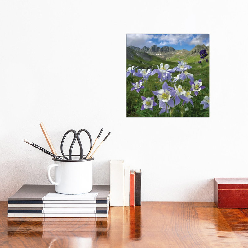 Colourado Blue Columbine Meadow At American Basin, Colourado by Tim Fitzharris - Print on Canvas, 30.48 cm H x 30.48 cm W