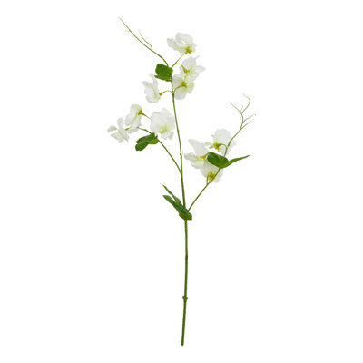Anastasija Arrangement