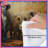 Rhinoceroses Under Tree Comforter-129974421