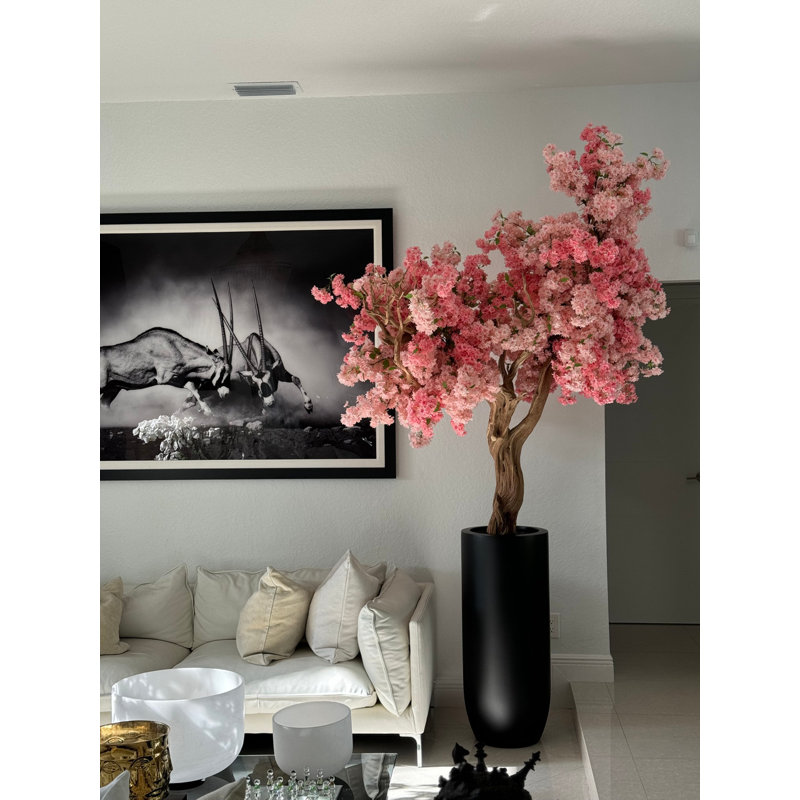 Pink Cherry Blossom Tree In Matte Grey Planter, Black