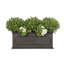 Berenice Handmade Window Box Planter-14486381
