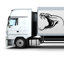 Graphiques en vinyle de camion de serpent, enveloppe de côté de camion, autocollant de voiture en fibre de carbone, autocollant de voiture de monstre, décalque de camion, décalque de voiture 3D, décalque de voiture de serpent