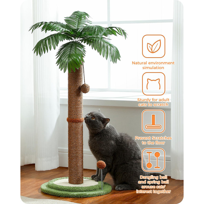 Scratching Post
