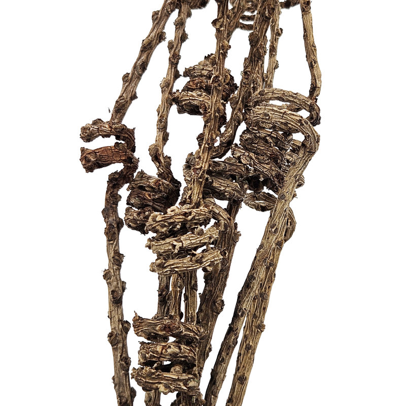 9 Piece Cluster Twig Triple Spring   Set of 12   20"   Natural