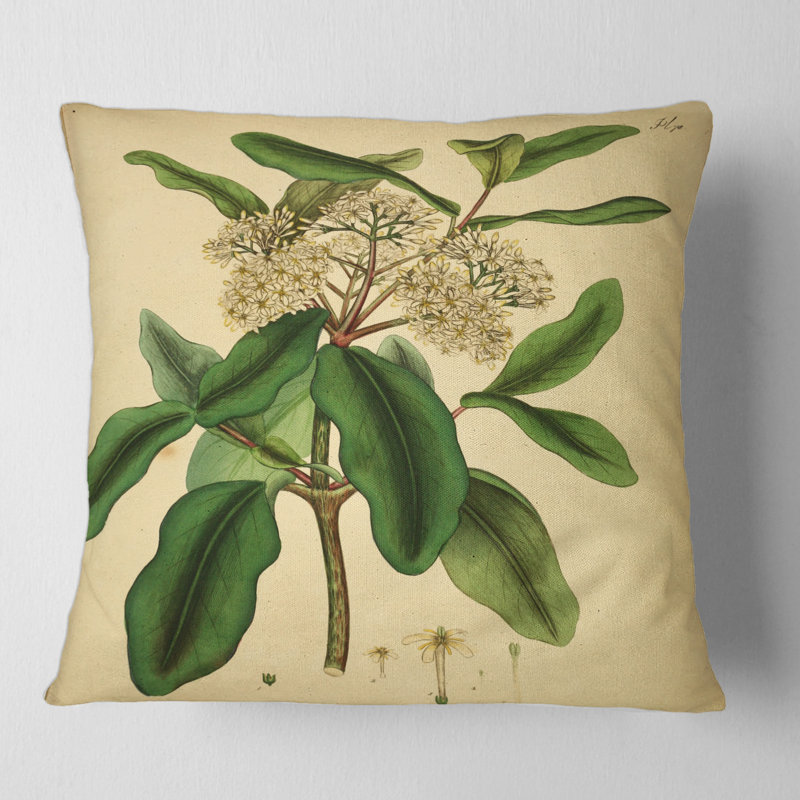 «Vintage Plant Life I» - coussin traditionnel imprimé, 18" x 18"