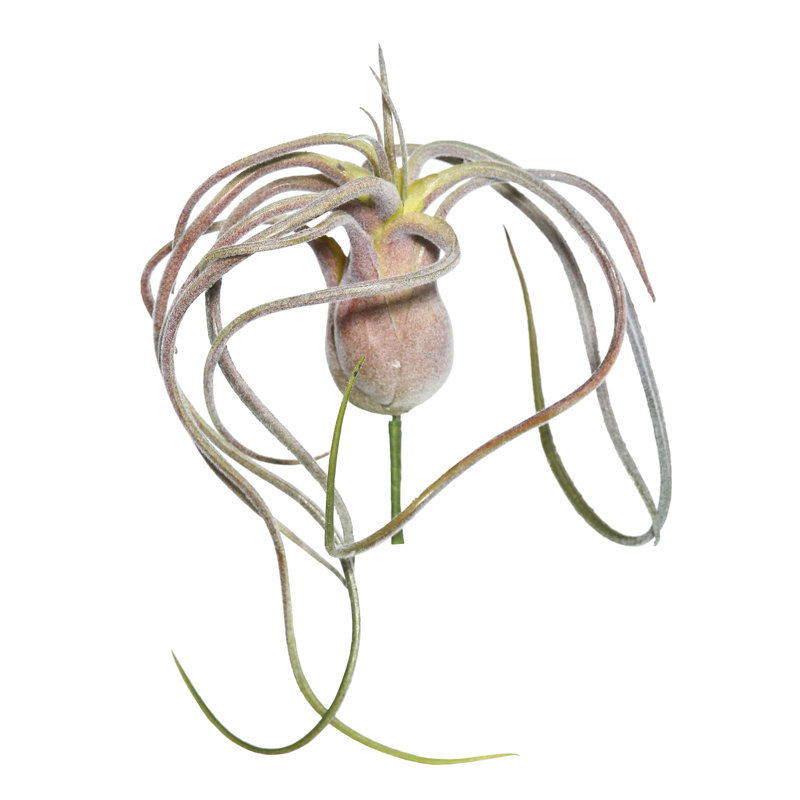 Fabric Tillandsia Arrangement