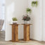 Haig Plant Stand - Set of 2-2027179087-2027179078