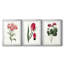 Roseat Blooms I - impression encadrée sur mesure de qualité supérieure mate - 3 pièces-125775011-125775015