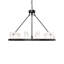 12 - Light Chandelier