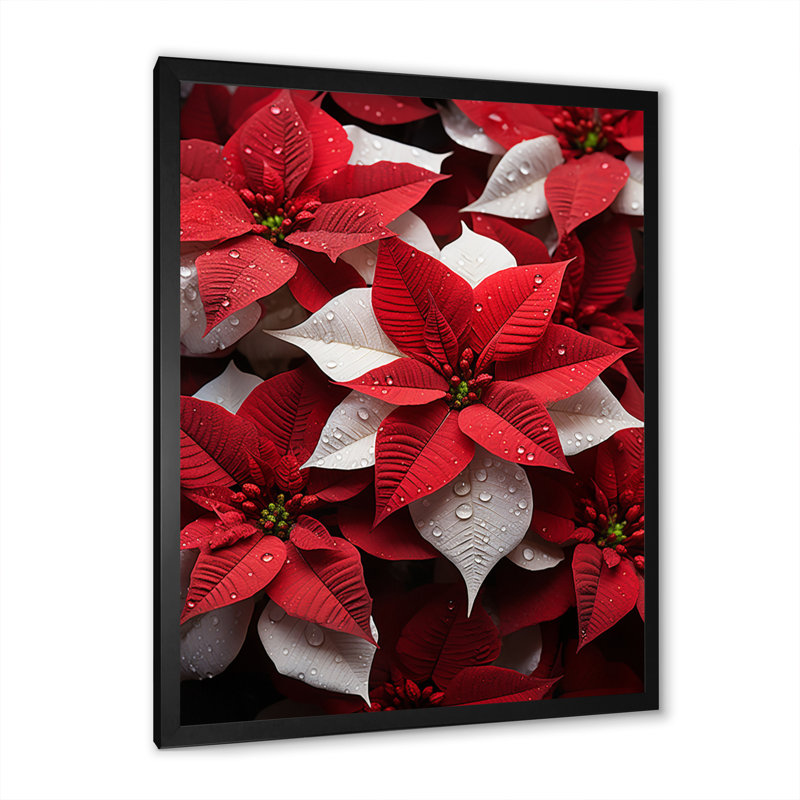 Poinsettias festives - Décoration murale florale et botanique, H 40 po x l 30 po x P 1,5 po, Cadre photo noir