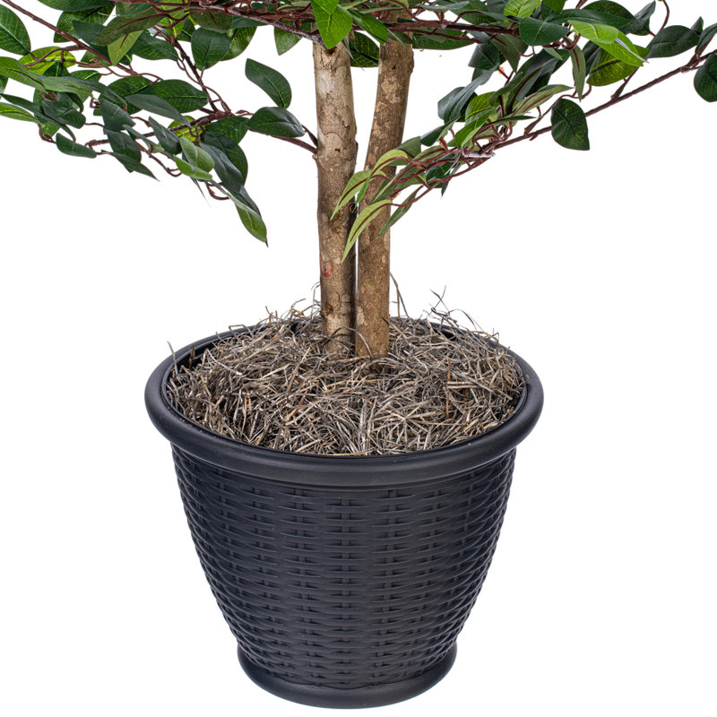 Mini buisson de 4 pi tous les jours, gris