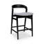Modern Brazilian Velma Counter Stool-574982016-574982040