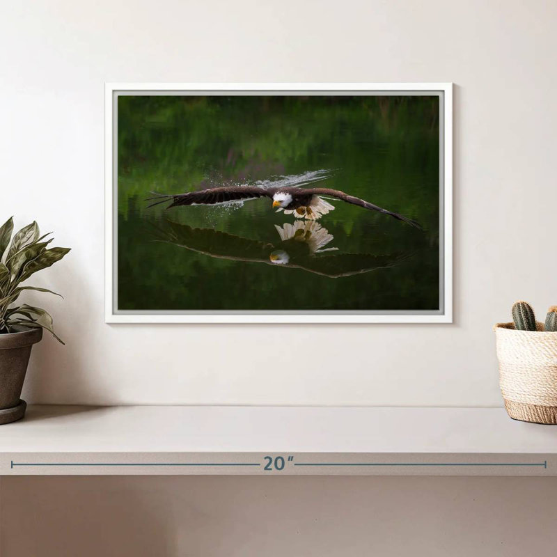 Aigle à tête blanche, Cadre flottant blanc, 13 po x 9 po