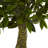 Triple Bay Leaf Topiary Artificial Tree