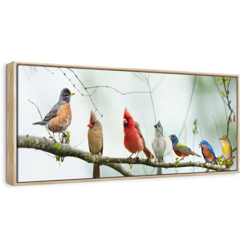 Rassemblement d'oiseaux, 31 po x 11 po, Cadre flottant en bois naturel