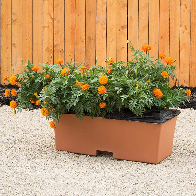 Lionnel Planter Box, Terra