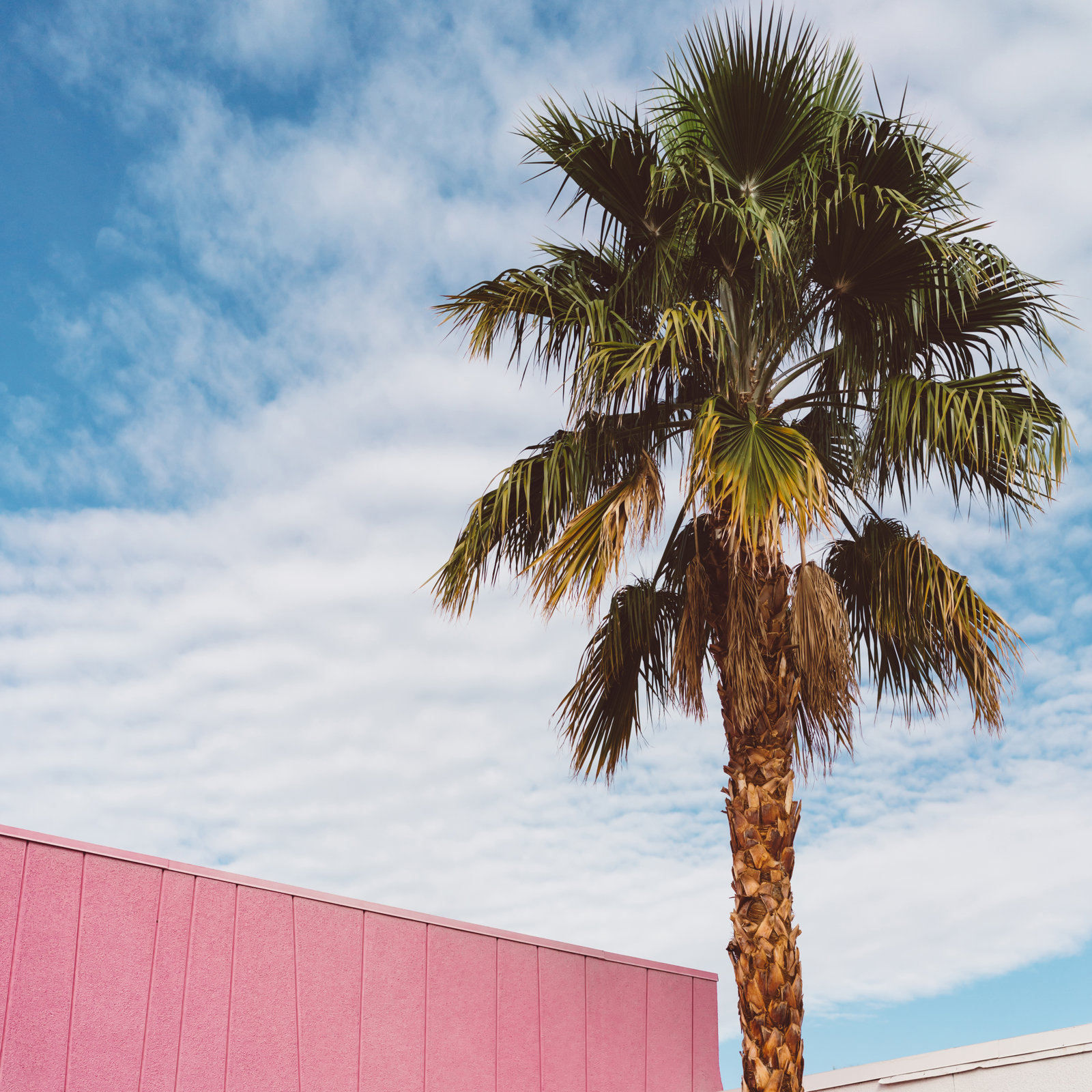 Palm Springs Vibes Photo Print, Yes, Gold Single Picture Framed, 20" H x 20" W x 0.75" D