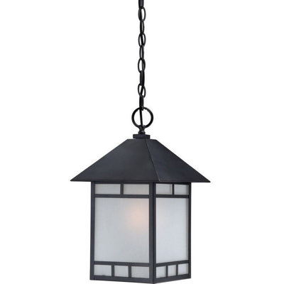 Lanterne suspendue d'extérieur 1 lumière H 16 po Caitlin