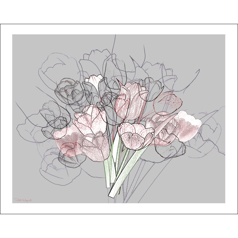 Tulipes