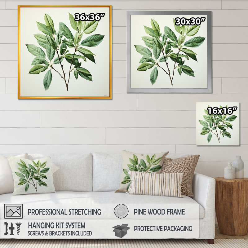 Menthe fraîche, minimalisme, feuilles, sérénité I, Cadre simple noir, H 24 po x l 24 po x P 1 po