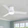 Amici Modern 48'' Flush Mount Ceiling Fan with LED Lights and Remote Control