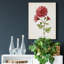 «Botanical III», impression sur toile tendue-1268125343