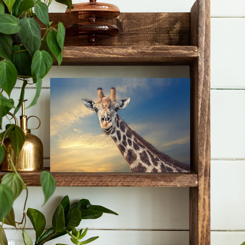 Curious Giraffe At Sunset Elegant Peaceful Serene Giraffe Nature Portrait Wall Art Print by Piet Flour - Print