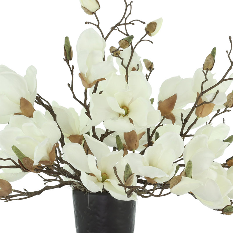 Magnolias disposés dans un pot en céramique