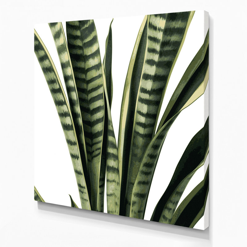 "Watercolor Botanical 49", art mural sur toile beige