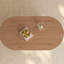 Table basse ovale mobile-108918889-108918891