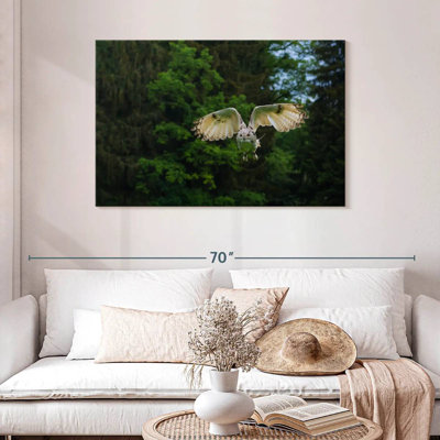 Brampt Flying Forest Owl