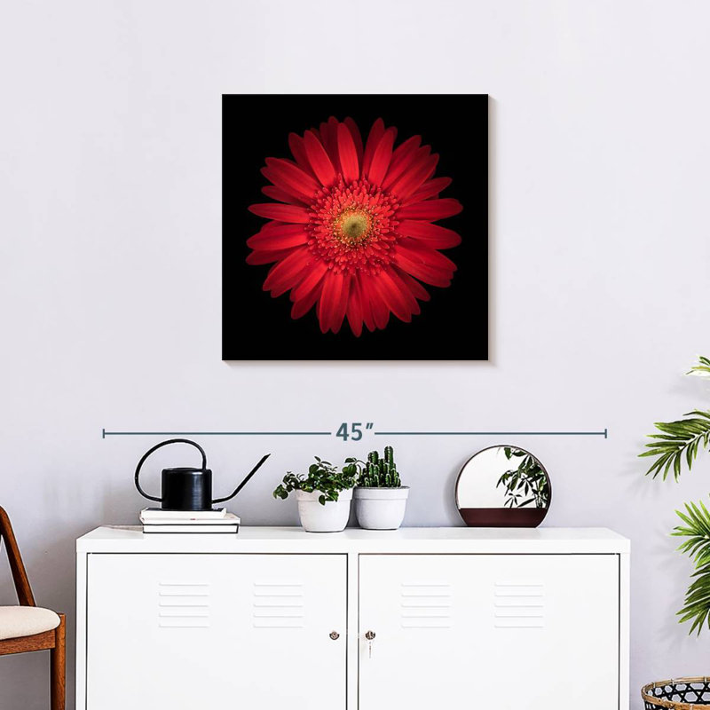Arney Bright Red Daisy, 24" H x 24" W
