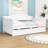 Efthim Twin Size Daybed with Trundle-2009575100