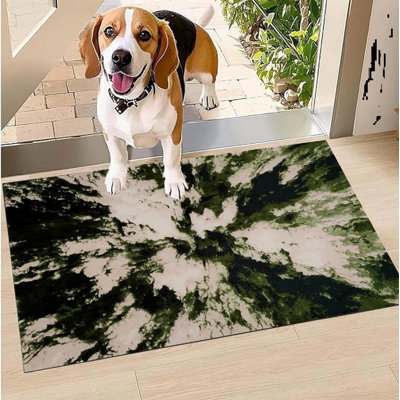 Area Rug