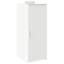 Storage Cabinet-1173481253