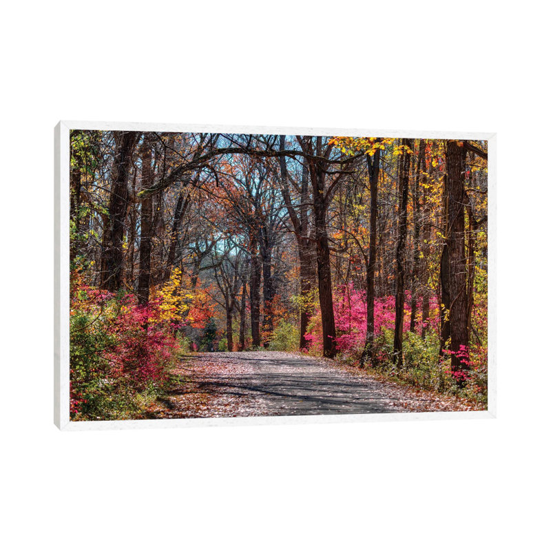 Manor Trail by David Gardiner - Print on Canvas, White Framed, 45.72cm H x 66.04cm W x 3.81cm D