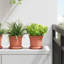 Round Flower Pot 6 Pcs Plastic-701502282-701502285