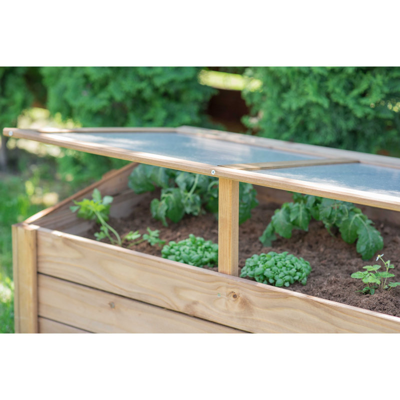 Tierra Garden Wooden Cold Frame 39.4"Wx23.6"Dx15.4"H