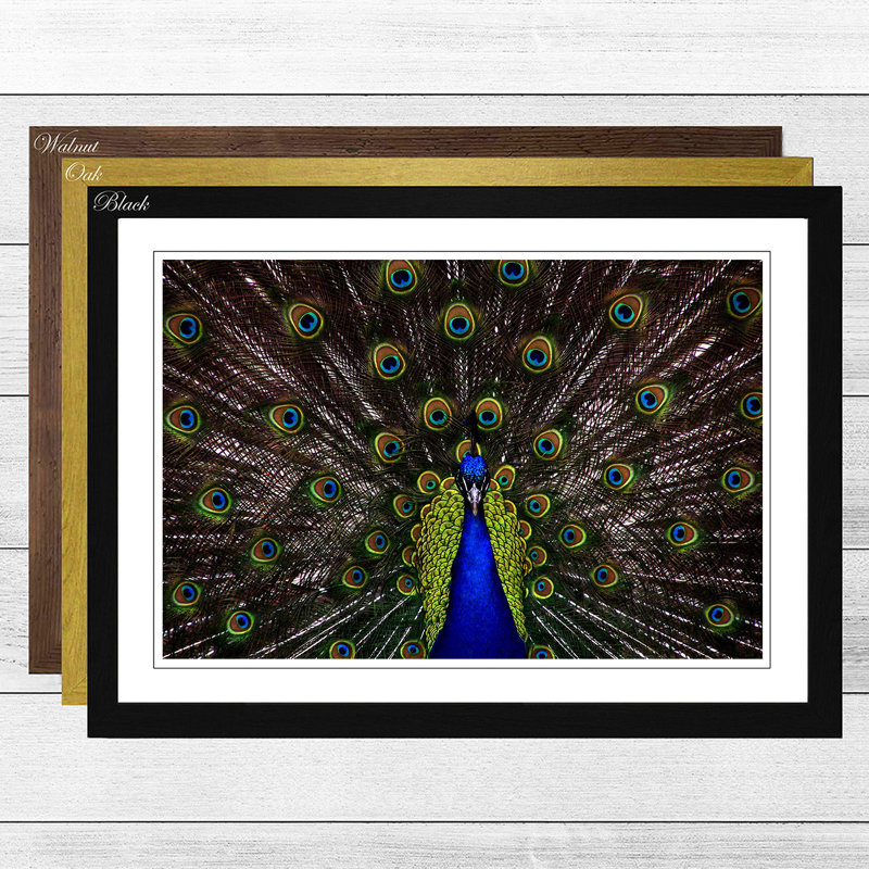 Single Picture Frame Print, Black