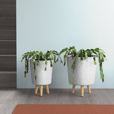 Ensemble de pots à fleurs en métal 2 pièces Annis