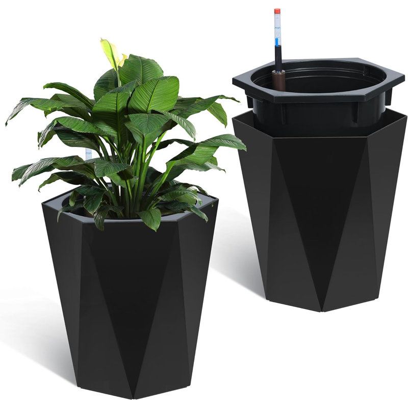 16cm Plant, Black