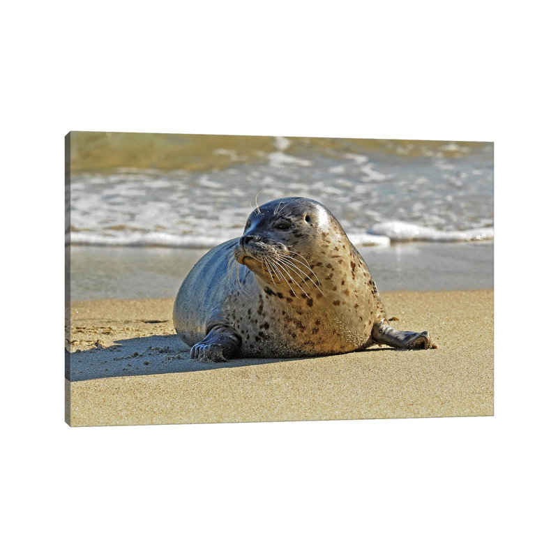 Stepping Out Of The Water by Brian Wolf - Wrapped Canvas Print, 45.72cm H x 66.04cm W x 1.91cm D