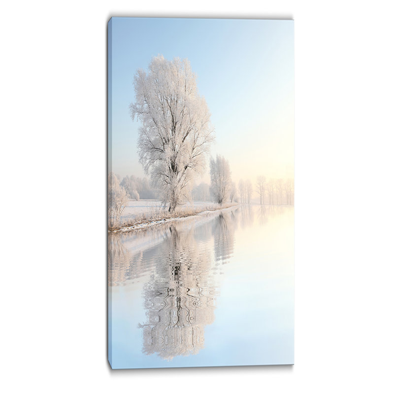 Reproduction de photo sur toile tendue « givré winter tree », H 40 po x l 20 po