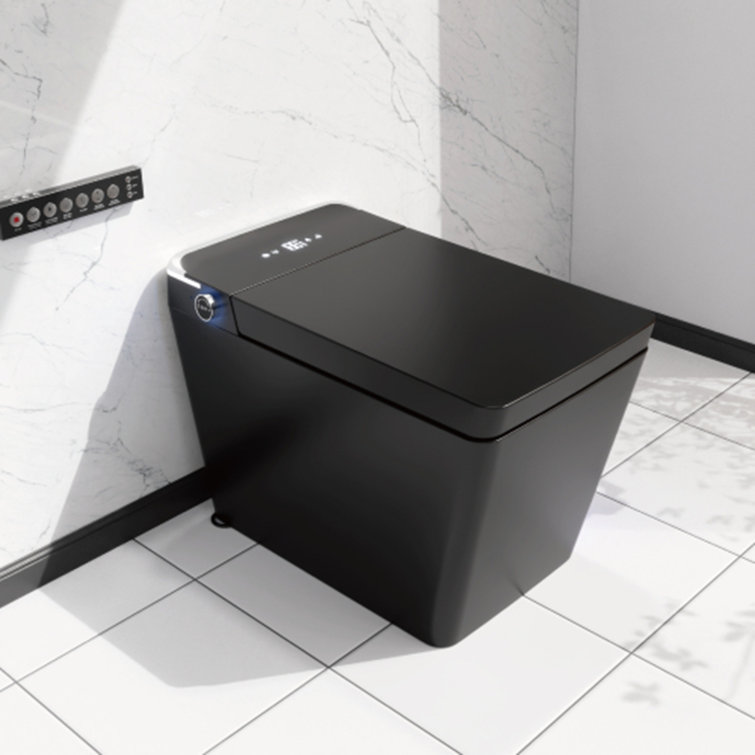 Intelligent Sitting Bathroom with Wireless Remote Control