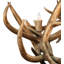 Rustic Lodge 18 - Light Chandelier