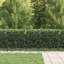 Powder-Coated Steel Fence Panels Included-124587245